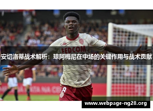 安切洛蒂战术解析：琼阿梅尼在中场的关键作用与战术贡献