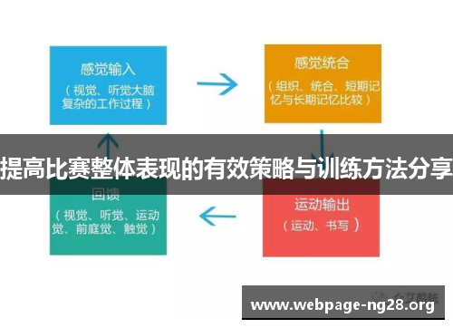 提高比赛整体表现的有效策略与训练方法分享