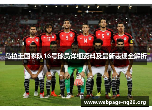 乌拉圭国家队16号球员详细资料及最新表现全解析