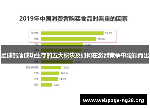 足球部落成功生存的五大秘诀及如何在激烈竞争中脱颖而出